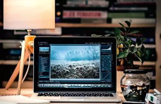 編程熱潮持續(xù) QS預(yù)測2020年計算機(jī)編程仍為前景最佳行業(yè)